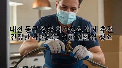 대전 동구 정동 이사청소 업체 추천: 건강한 새출발을 위한 친환경 청소!
